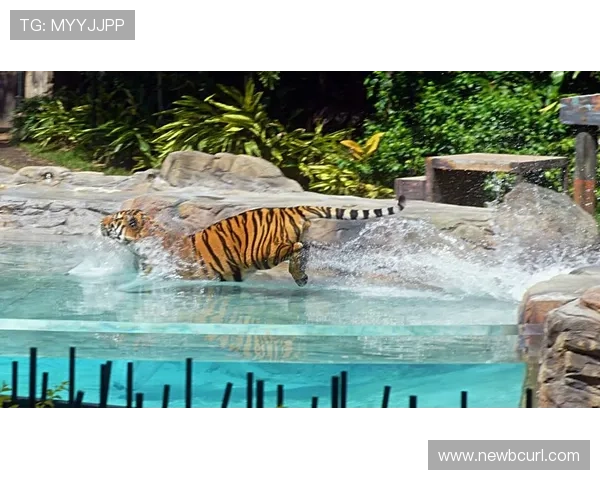 大利亚娱乐活动全攻略,帮你轻松掌握澳大利亚最热门的娱乐项目和精彩演出